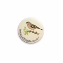 Зяблик (Fringilla coelebs)