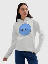 Большой крохаль