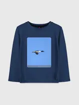 Большой крохаль