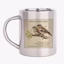 Зяблик (Fringilla coelebs)