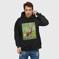 Сибирская косуля