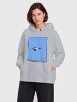 Большой крохаль