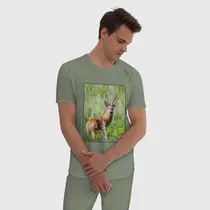 Сибирская косуля