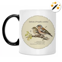 Зяблик (Fringilla coelebs)