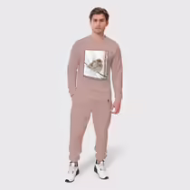 Зимний воробей