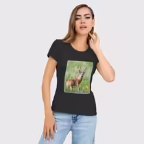 Сибирская косуля