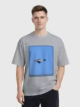 Большой крохаль