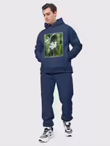 Звездчатка ланцетолистная