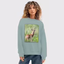 Сибирская косуля
