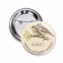 Зяблик (Fringilla coelebs)