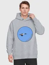Большой крохаль