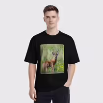 Сибирская косуля