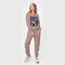 Махаон на одуванчике