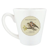 Зяблик (Fringilla coelebs)