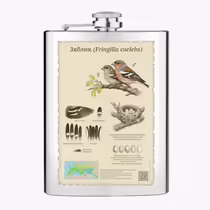 Зяблик (Fringilla coelebs)