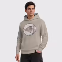 Зимний воробей