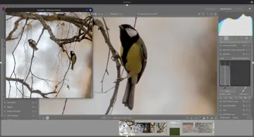 Скриншот darktable c дополнительным окном просмотра Скриншот darktable c дополнительным окном просмотра