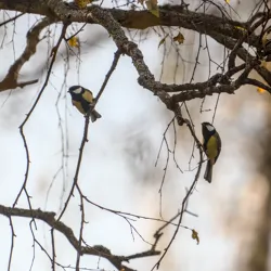 base curve + exposure base curve + exposure