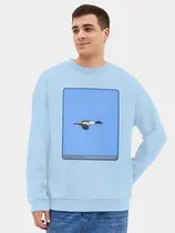 Большой крохаль