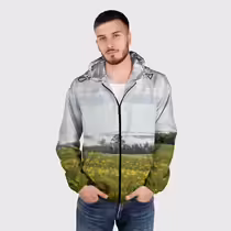 Туманные низины