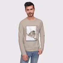 Зимний воробей