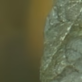 ISO12800, AI raw denoise