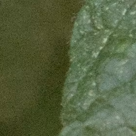 ISO3200, std denoise profiled