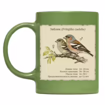 Зяблик (Fringilla coelebs)