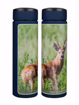 Сибирская косуля