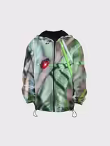 Листоед гладкий