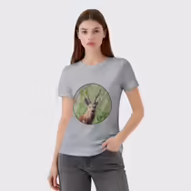 Сибирская косуля