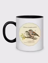 Зяблик (Fringilla coelebs)
