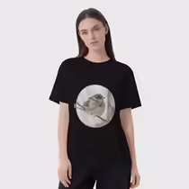 Зимний воробей