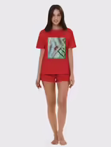 Листоед гладкий