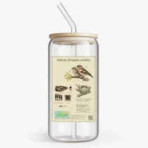 Зяблик (Fringilla coelebs)