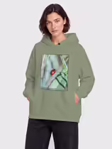 Листоед гладкий