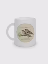 Зяблик (Fringilla coelebs)