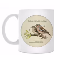 Зяблик (Fringilla coelebs)