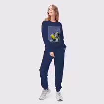 Махаон на одуванчике